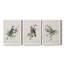 «Spring Song Blue Bird», ensemble de 3 impressions sur toile encadrées-777363423-777363413