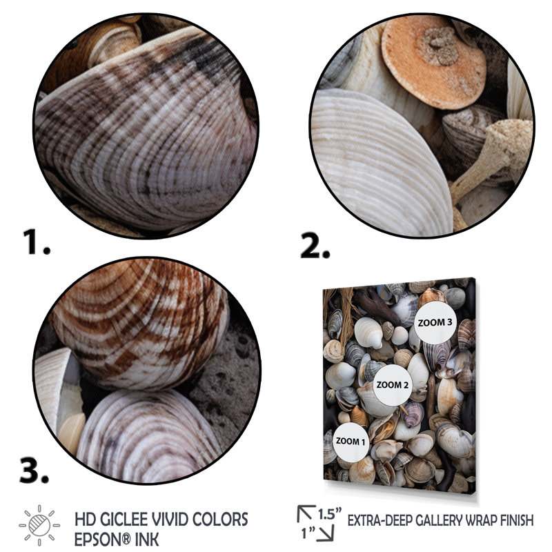 «Ciancio Grey Clam Coastal Harmony II», reproduction sur toile, Cadre photo blanc, H 32 po x l 24 po x P 1 po