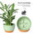 2 Pack Plastic Hanging Planters-1321965908
