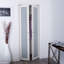 Porte pivotante Euro 1-Lite-39926317-39951630