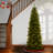 North Valley Spruce Pencil Slim Tree with Clear Lights-914715059