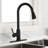 FB WERFY Pull Down Kitchen Faucet-69001085