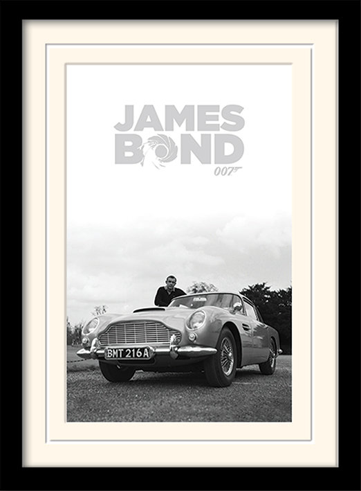 Single Picture Frame Print