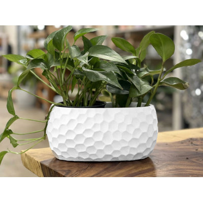 Jardinière ovale en béton alvéolé Avenue Art Décor (lot de 8) - Intérieur/Extérieur