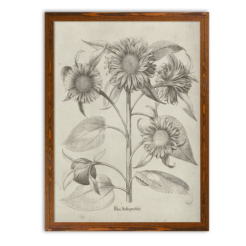 « tournesol ii » par paul cezanne-cadre photo, reproduction d’art Fresco, H 30 po x l 22 po x P 1 po, Toile avec cadre érable