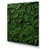 Wrapped Canvas
