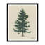 Evergreen Print