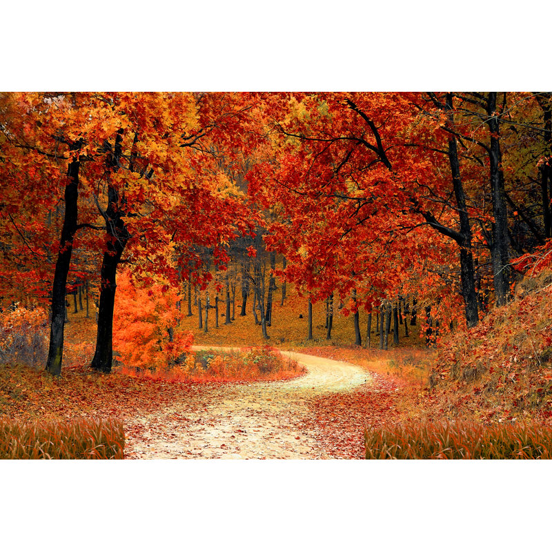 England-Foggy Path by Mr. Abbas - Wrapped Canvas Print, 81cm H x 122cm W x 3.8cm D