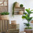 Set of 2 6.5x6.5x6" Brown Cement Planter with Woven Tassel Accent