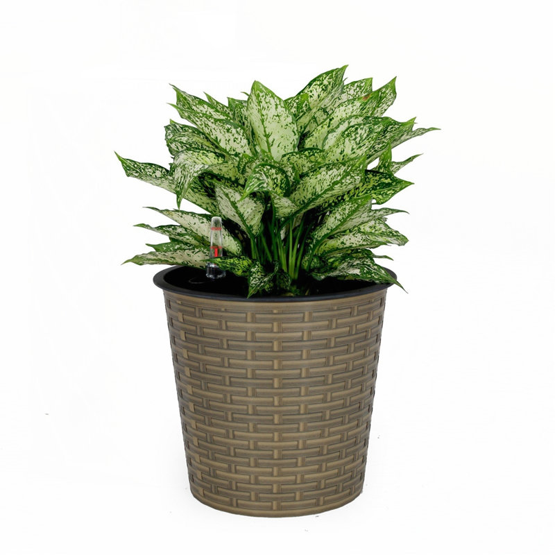 Jardinière décorative en osier 10,2 po, Gris foncé