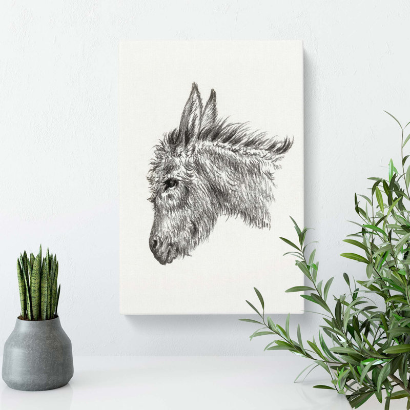 Head Of A Donkey by Jean Bernard - Wrapped Canvas Print, 50.8 cm H x 35.6 cm W
