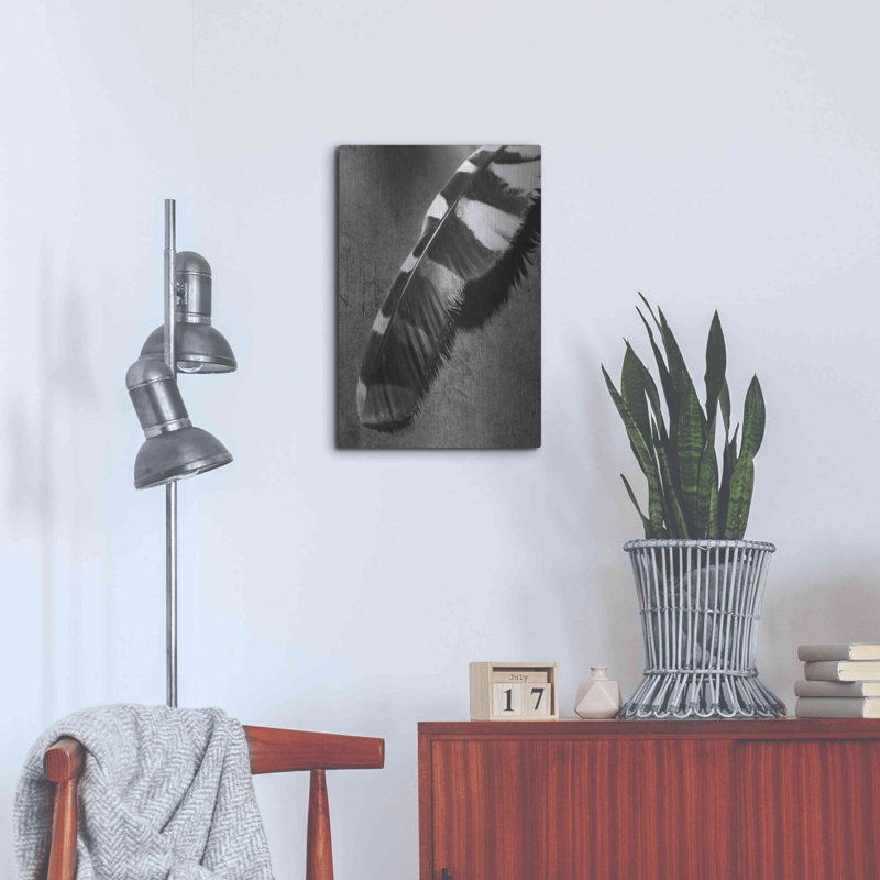 «Feather Shadow II» par Debra Van Swearingen, H 24 po x l 16 po