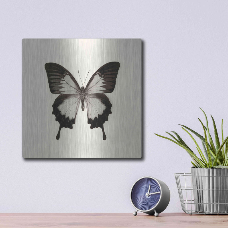 «Butterfly III BW» par Debra Van Swearingen, H 12 po x l 12 po