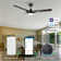 Gailyn 52'' Ceiling Fan with LED Lights