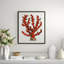 Red Coral III Giclee Print by Soicher Marin Archives