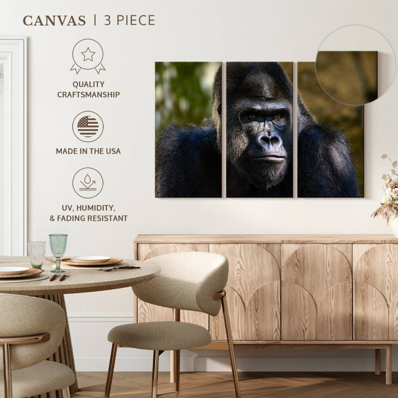 Mountain Gorilla, 20" H x 33" W