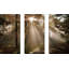 A New Day I - Ensemble de 3 photographies sur toile tendue-37163702
