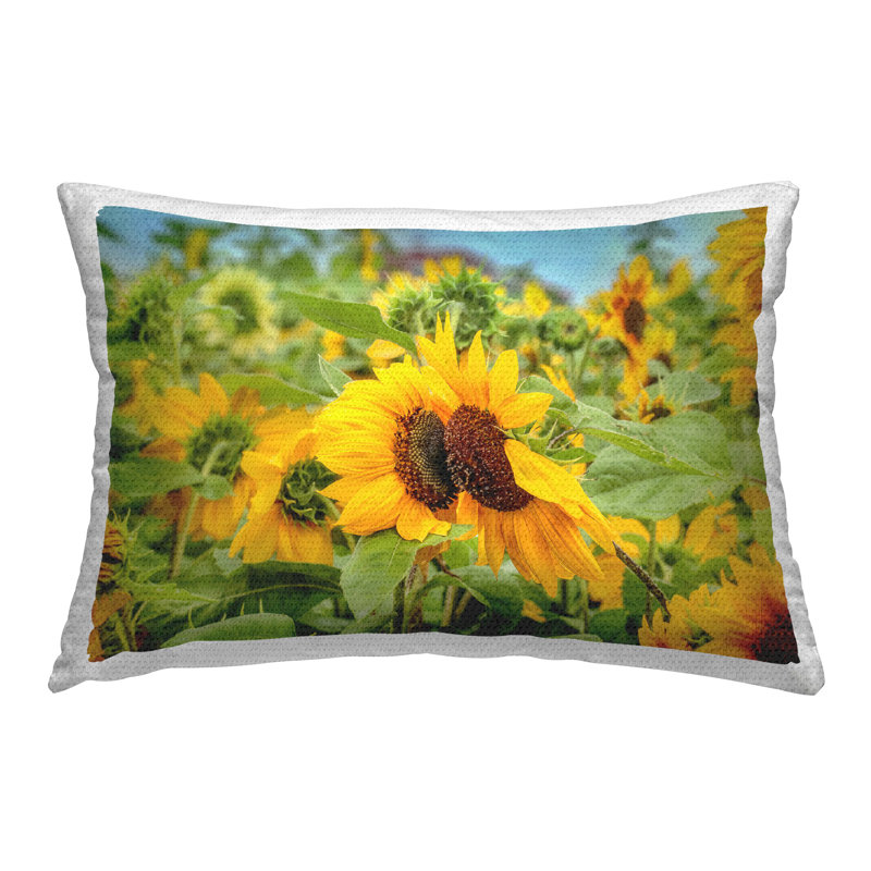 Coussin d'extérieur Country Country