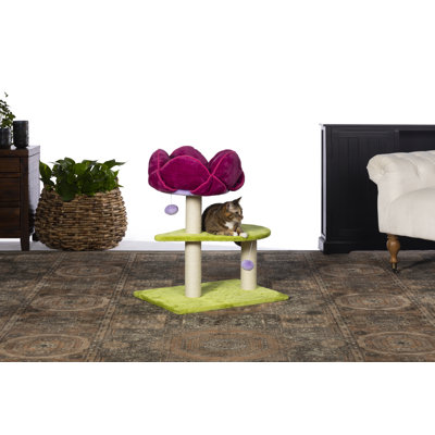 Borrego 28.375'' H Cat Tree