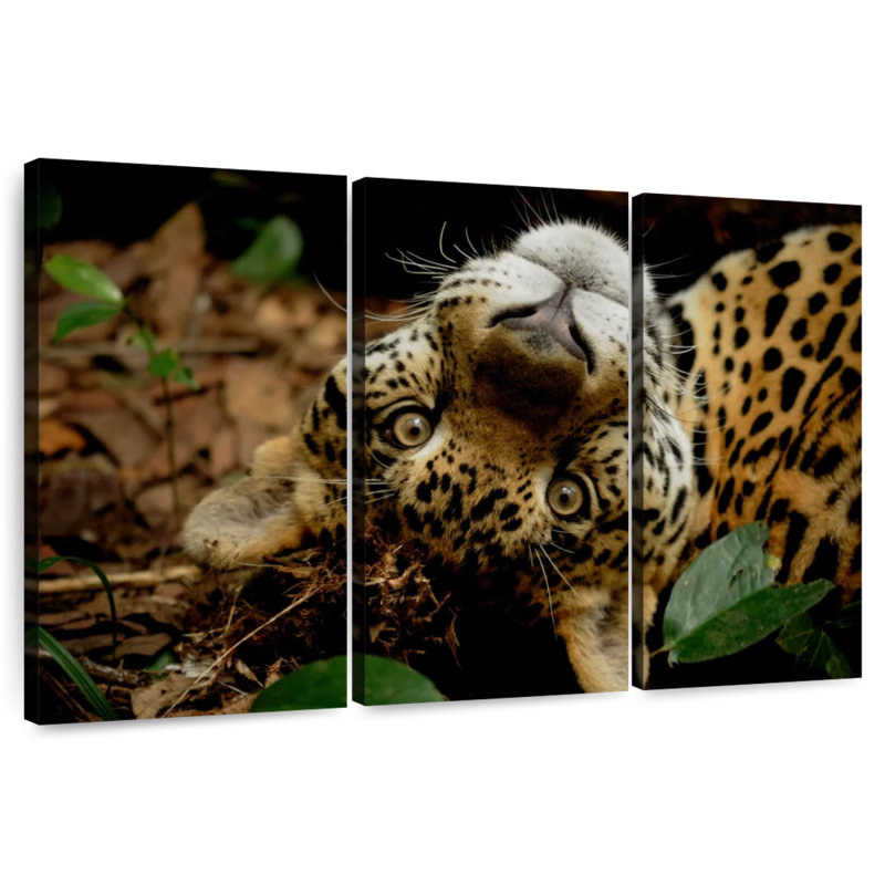 Brampt Goofy Jaguar, 28" H x 45" W