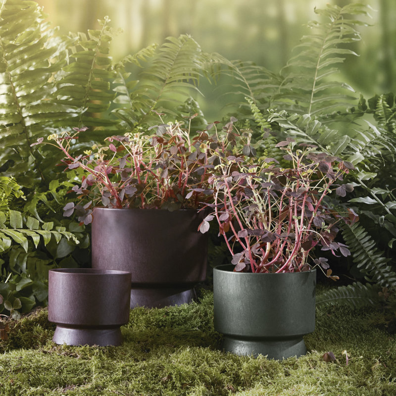 Pot à fleurs en plastique recyclé, Vert, H 5,3 po x l 5,9 po x P 5,9 po