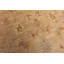 Tapis beige Zander 3 pi 1 po x 3 pi 1 po