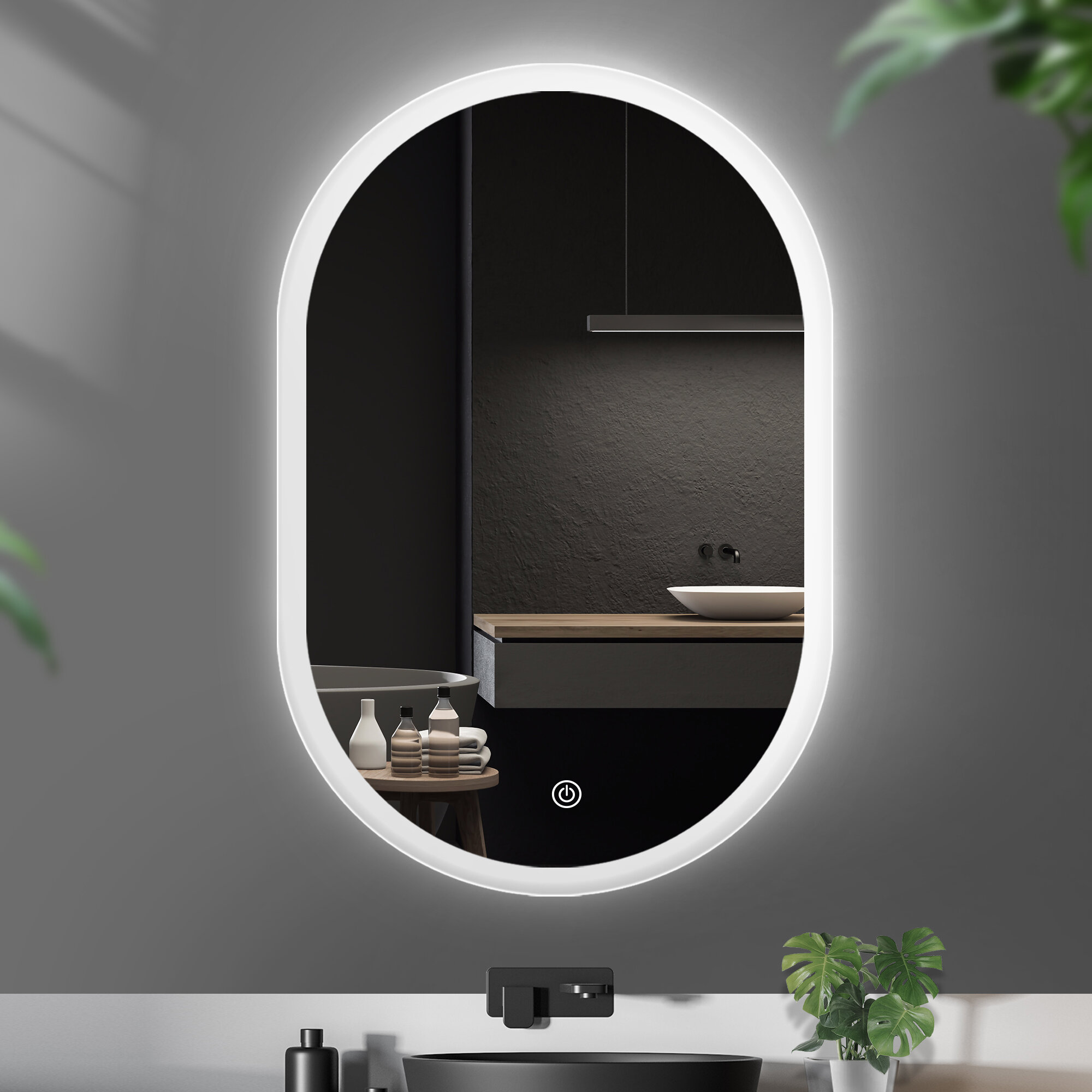 Ivy Bronx 24 in. W x 36 in. H Oval Frameless LED Light Bathroom Vanity  Mirror & Reviews