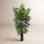 Thisbe 72'' Faux Palm Tree in Pot