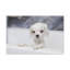 No Frame Print on Canvas-370684923