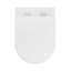 Cuvette de toilette allongée Ivy II