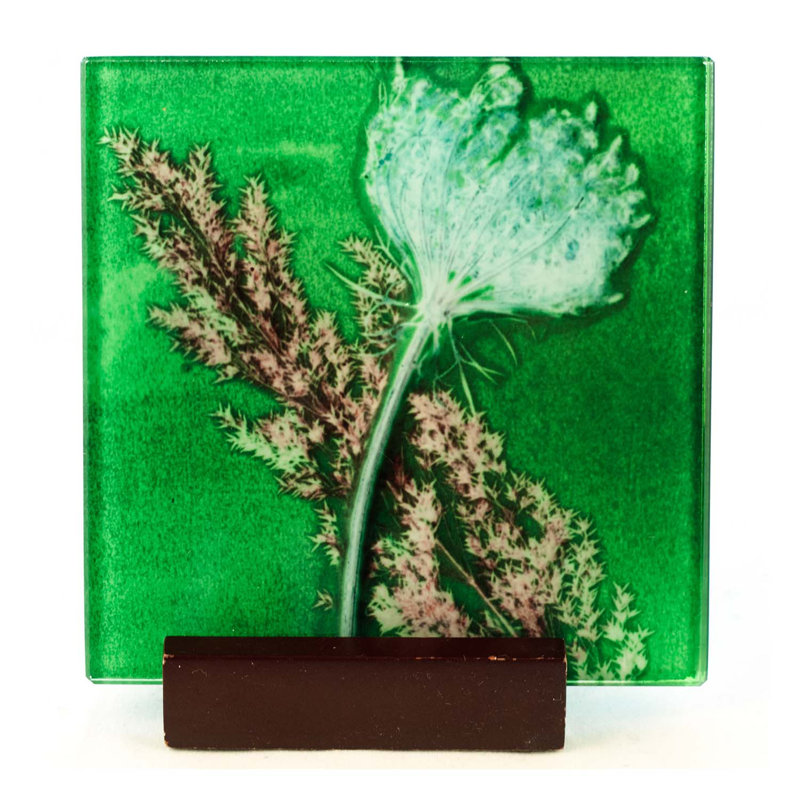 Glass Square 1 Piece Coaster, Green
