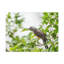 No Frame Print on Canvas-864008998