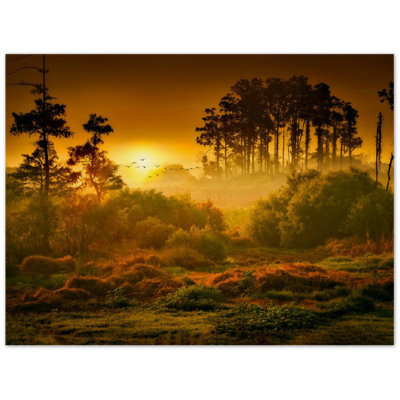Sunset Forest Print - Woodland Nature Landscape Wall Art - Golden Hour Trees Canvas Poster - Scenic Forest Artwork - Rustic Nature Decor - Serene Outdoor Wall Hanging - Modern Home Decoration Art Print