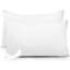 Ensemble de 2 coussins décoratifs Goose Feather-2037027827