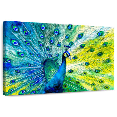 Crowle Regal bleu paon