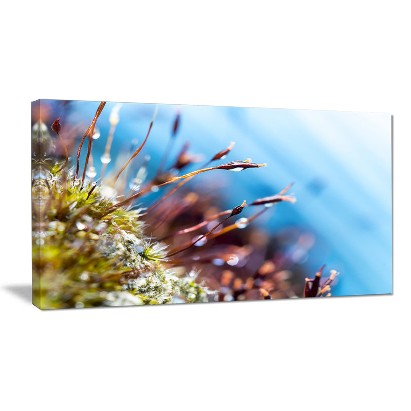 « abstract moss fleurs », impression, H 28 po x l 60 po x P 1,5 po, Toile tendue
