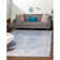 Layne Chenille Oriental Indoor Rug