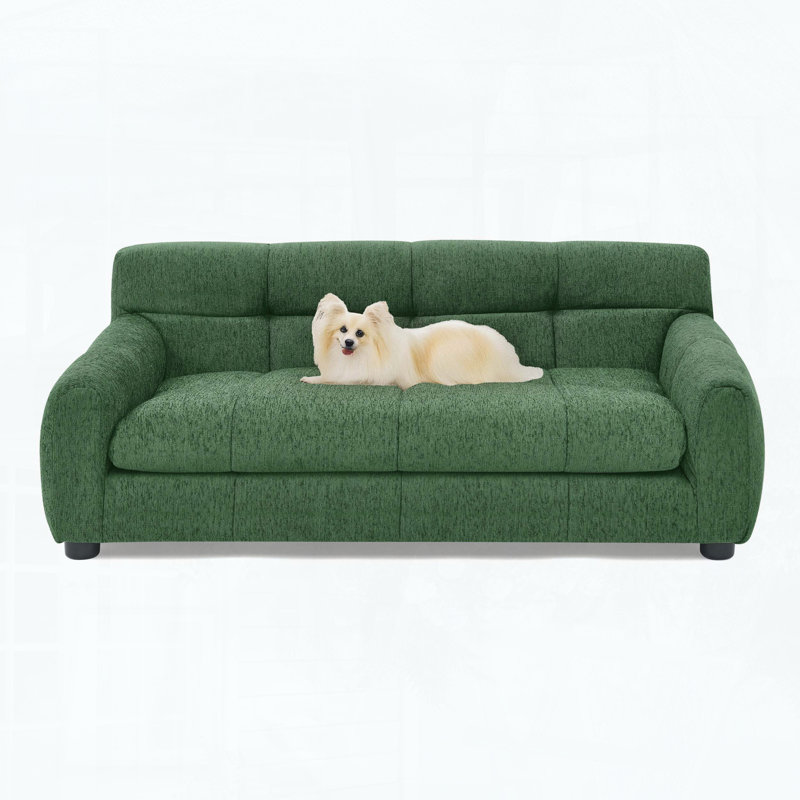 Canapé compact surdimensionné pour animaux avec dossier et accoudoirs pour chiens de taille moyenne / grande, Vert