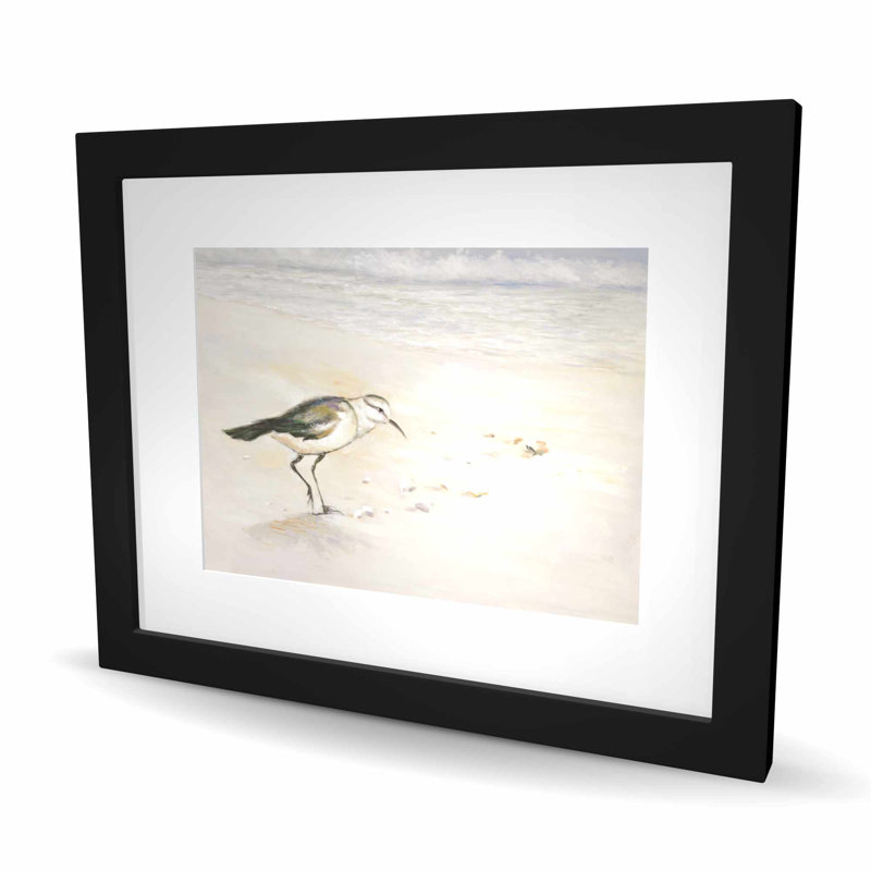 Imprimé Semipalmated Sandpiper Beach | Cadre encadré
