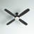 Kaya 52'' Ceiling Fan with LED Lights-1130179871