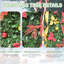 Arbre de Noël escamotable de 6 pi avec 150 lumières blanches chaudes et 66 accessoires festifs, décor rapide pour les maisons compactes décorant de petits dortoirs