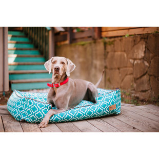 Lit pour chien marocain 