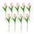Pink est en rupture de stock