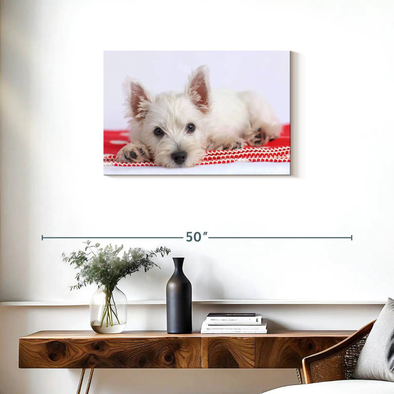 Brampt Blanco I, 20" H x 30" W