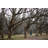 Eno Slackwire Slackline