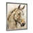 Black Picture Framed