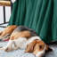 Veyo Throw Blanket-838665391-838665390