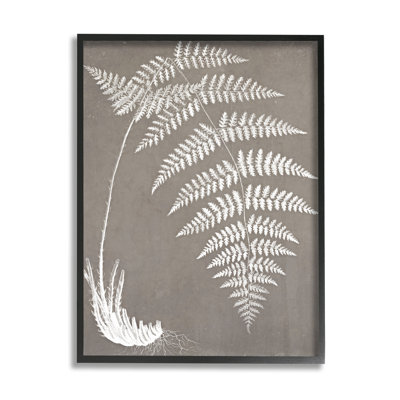 " Fern Leaves Roots Growing Botanicals Neutral Tones " by Graffitee Studios