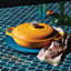 Le Creuset Cast Iron Shallow Casserole-90938126-101170275