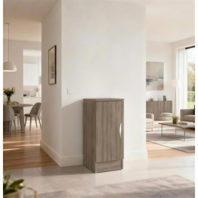 Shatzer 1 -Shelf Storage Cabinet
